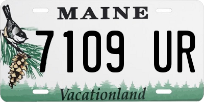 ME license plate 7109UR