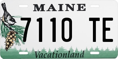 ME license plate 7110TE