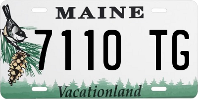 ME license plate 7110TG