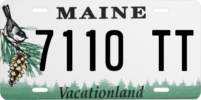 ME license plate 7110TT