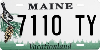 ME license plate 7110TY
