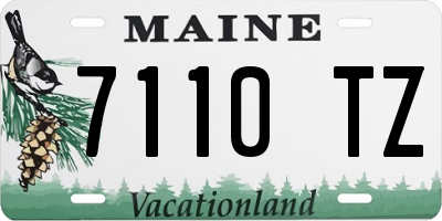 ME license plate 7110TZ