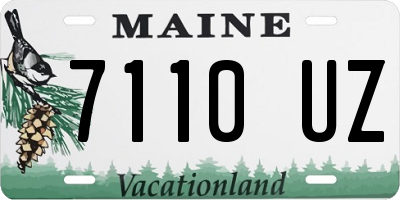 ME license plate 7110UZ