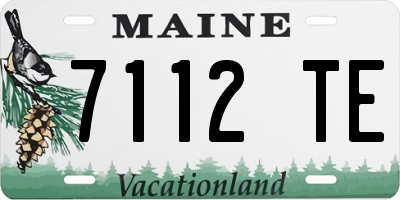 ME license plate 7112TE
