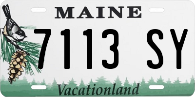 ME license plate 7113SY