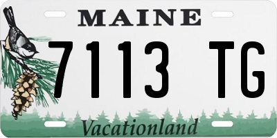 ME license plate 7113TG