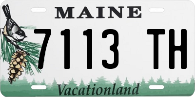 ME license plate 7113TH