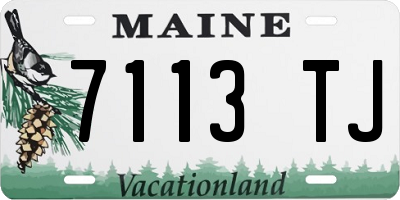 ME license plate 7113TJ