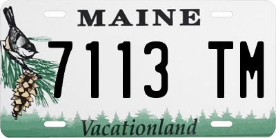 ME license plate 7113TM