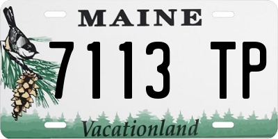 ME license plate 7113TP