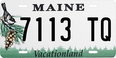 ME license plate 7113TQ