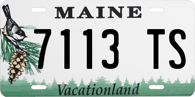 ME license plate 7113TS