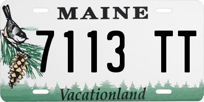 ME license plate 7113TT