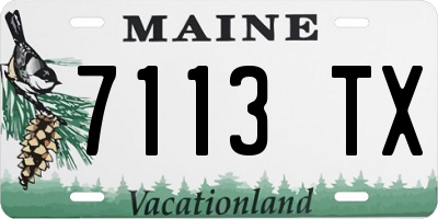 ME license plate 7113TX