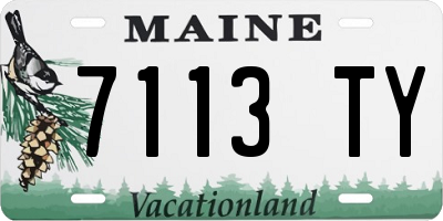 ME license plate 7113TY