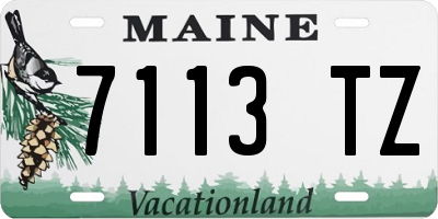 ME license plate 7113TZ