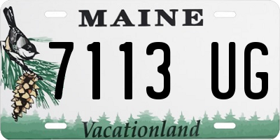 ME license plate 7113UG