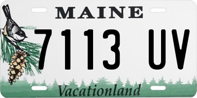 ME license plate 7113UV