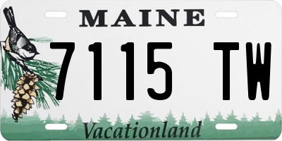 ME license plate 7115TW