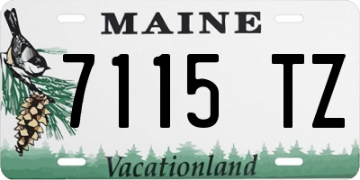 ME license plate 7115TZ