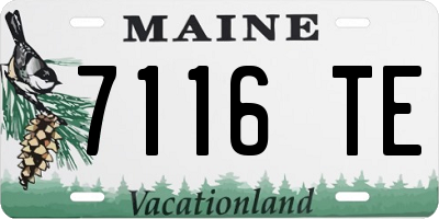 ME license plate 7116TE