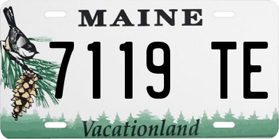 ME license plate 7119TE