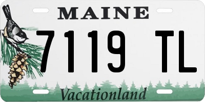 ME license plate 7119TL