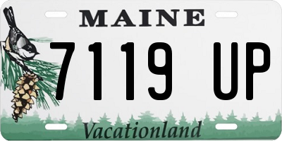 ME license plate 7119UP