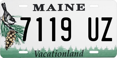 ME license plate 7119UZ