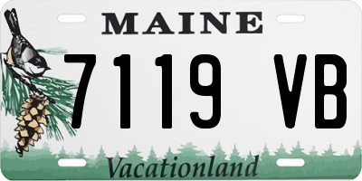 ME license plate 7119VB
