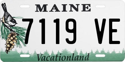ME license plate 7119VE