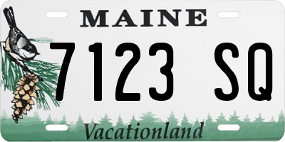 ME license plate 7123SQ