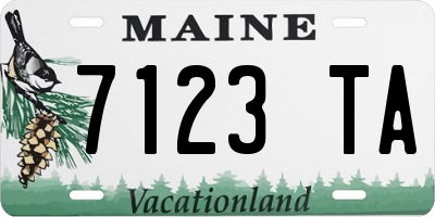 ME license plate 7123TA