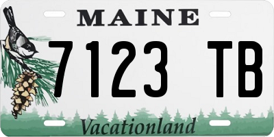ME license plate 7123TB