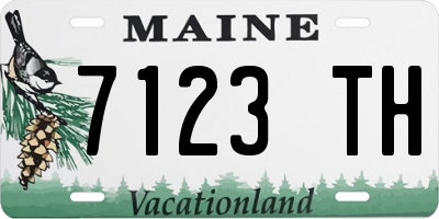 ME license plate 7123TH