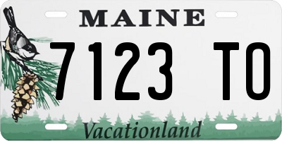 ME license plate 7123TO