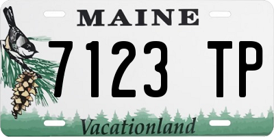 ME license plate 7123TP