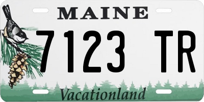 ME license plate 7123TR