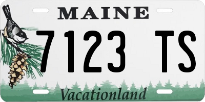 ME license plate 7123TS