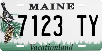 ME license plate 7123TY