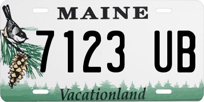 ME license plate 7123UB