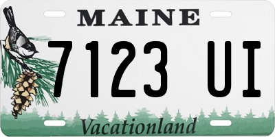ME license plate 7123UI