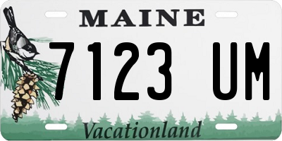ME license plate 7123UM