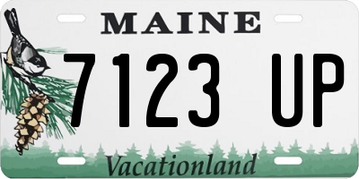 ME license plate 7123UP