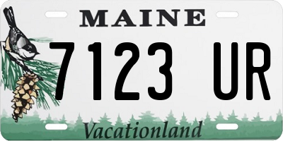 ME license plate 7123UR