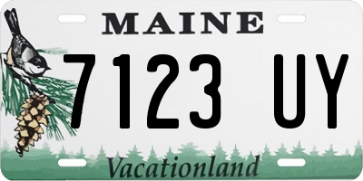 ME license plate 7123UY