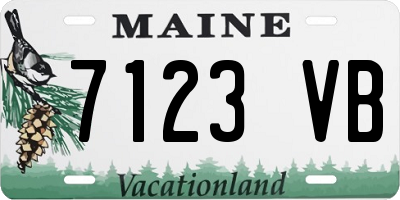 ME license plate 7123VB