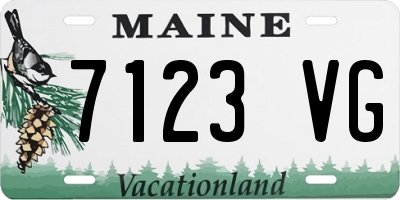 ME license plate 7123VG