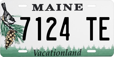 ME license plate 7124TE