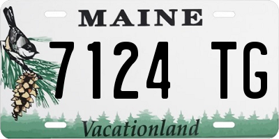 ME license plate 7124TG